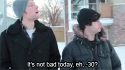 温哥华这周末要下雪 最低-4℃! 加拿大全国天寒地冻 牡鹿被冻成标本