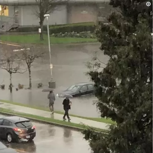 环境部连发23条警报! 温哥华全城暴雨 司机连人带车被淹 路况惨不忍睹!