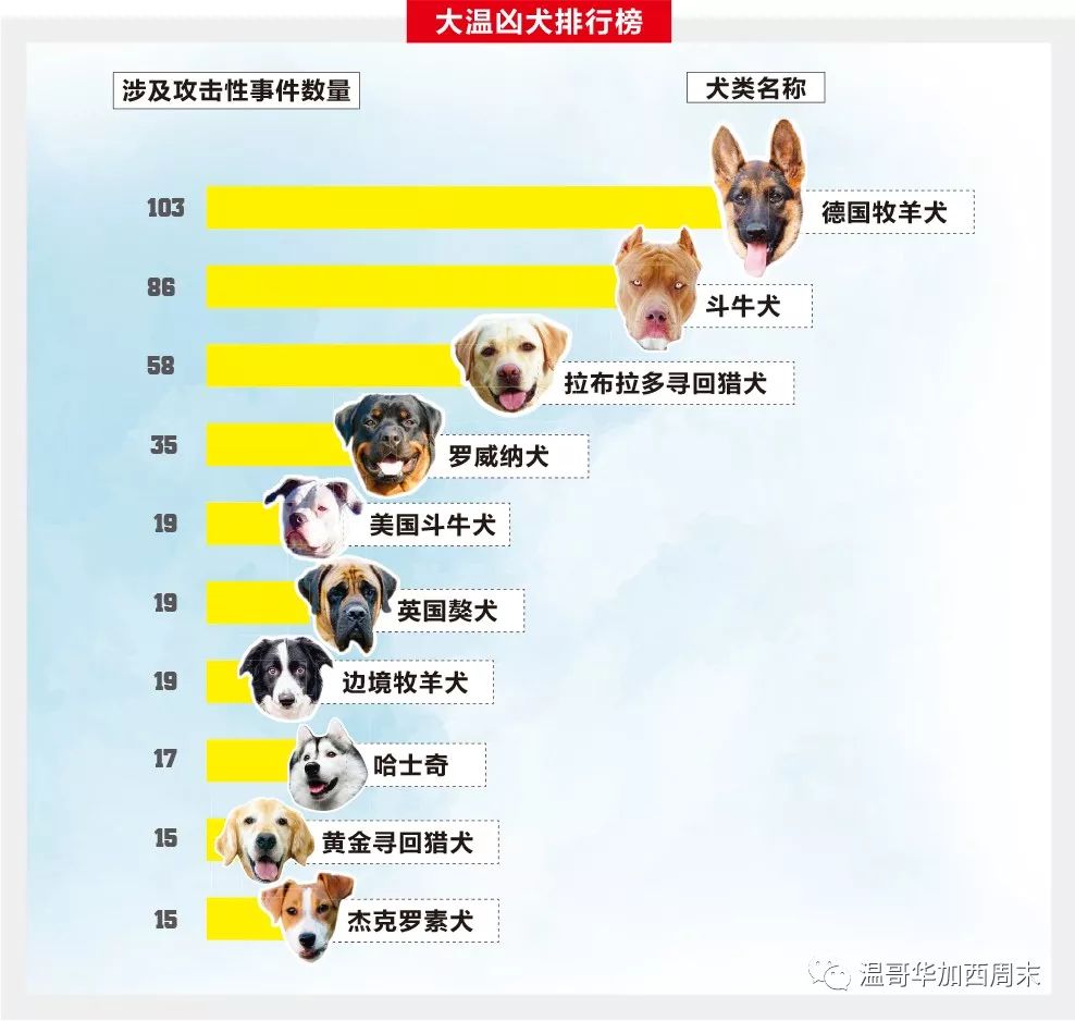 可怕! 恶犬闯入列治文独立屋 疯狂撕咬 华裔一家吓哭 家里满地是血!