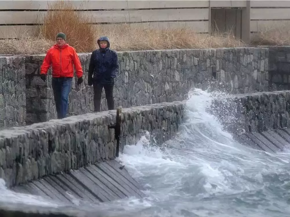 预警! 大温狂风暴雨升级! 2600户停电 BC渡轮停运 最高风速90km/h 出行注意这些