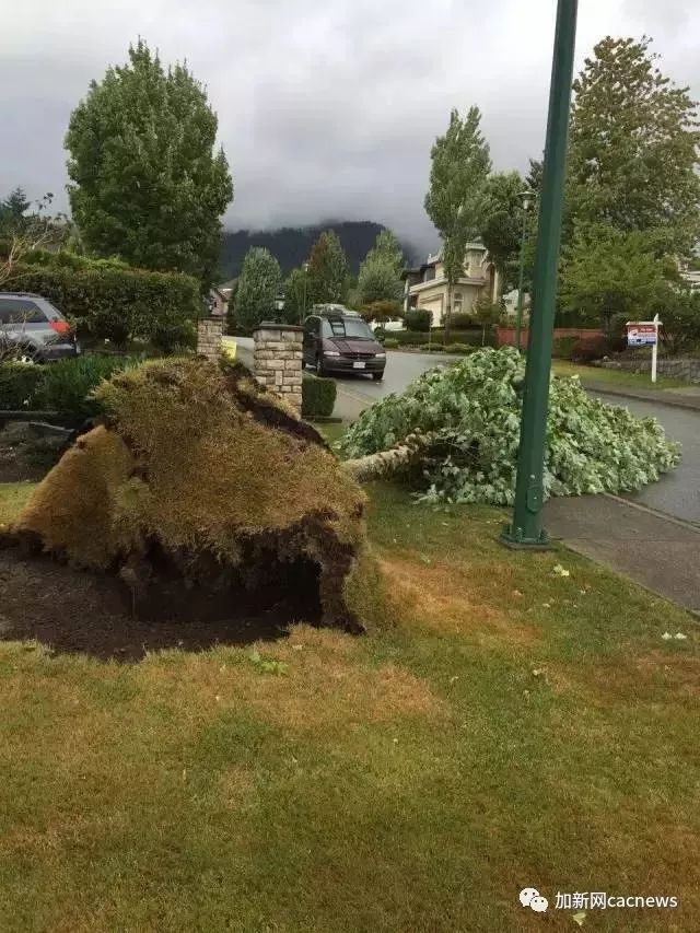 预警! 大温狂风暴雨升级! 2600户停电 BC渡轮停运 最高风速90km/h 出行注意这些