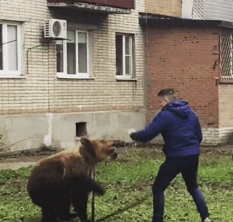 恐怖! 男子自家后院被巨熊咬死 惨遭啃食 只剩一具白骨 雪地被鲜血染红!