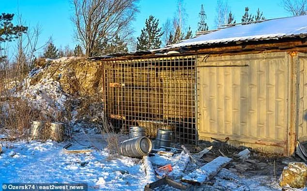 恐怖! 男子自家后院被巨熊咬死 惨遭啃食 只剩一具白骨 雪地被鲜血染红!