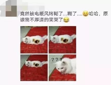 为什么南方姑娘要嫁去北方？哈哈哈哈哈哈哈哈哈哈哈哈哈哈