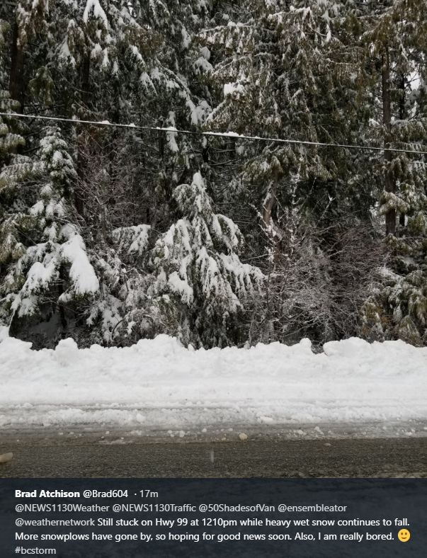 环境局连发38个警报! 大温暴雨肆虐 全城看海 50cm+大雪 这里雪崩极度危险