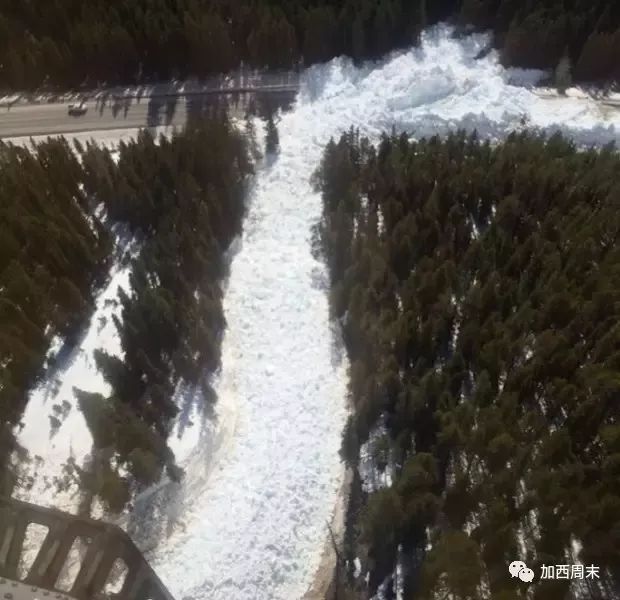 环境局连发38个警报! 大温暴雨肆虐 全城看海 50cm+大雪 这里雪崩极度危险