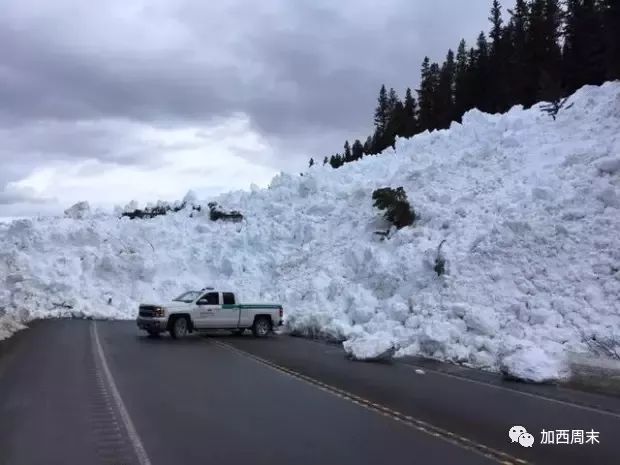 环境局连发38个警报! 大温暴雨肆虐 全城看海 50cm+大雪 这里雪崩极度危险