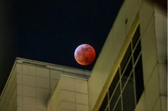 震撼! 昨夜 全温哥华的人都疯了! 一场
