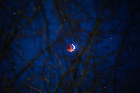 震撼! 昨夜 全温哥华的人都疯了! 一场