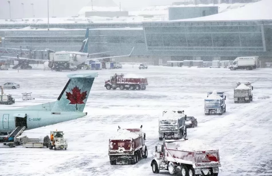 冷! 温哥华大年三十要下雪 最低-9℃! 全城都冻瘫痪了 加拿大人竟这么欢乐