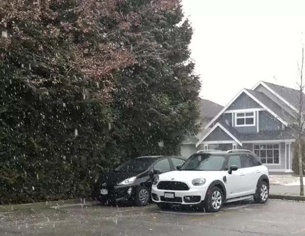 极寒警报拉响！暴雪袭击温哥华 -20℃+90km妖风之下 今夜将成噩梦！