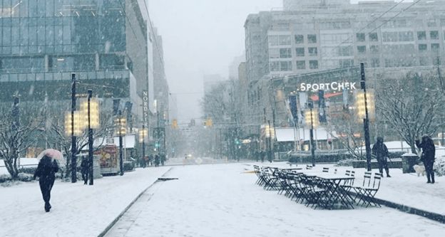 极寒警报拉响！暴雪袭击温哥华 -20℃+90km妖风之下 今夜将成噩梦！