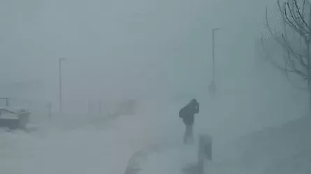 极寒警报拉响！暴雪袭击温哥华 -20℃+90km妖风之下 今夜将成噩梦！