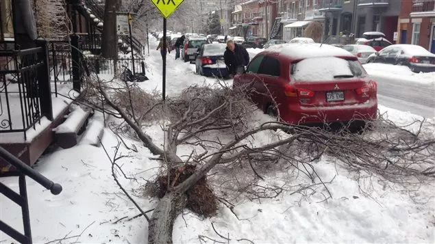 极寒警报拉响！暴雪袭击温哥华 -20℃+90km妖风之下 今夜将成噩梦！