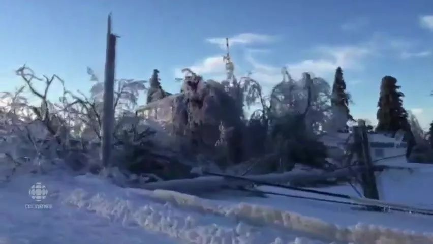 极寒警报拉响！暴雪袭击温哥华 -20℃+90km妖风之下 今夜将成噩梦！