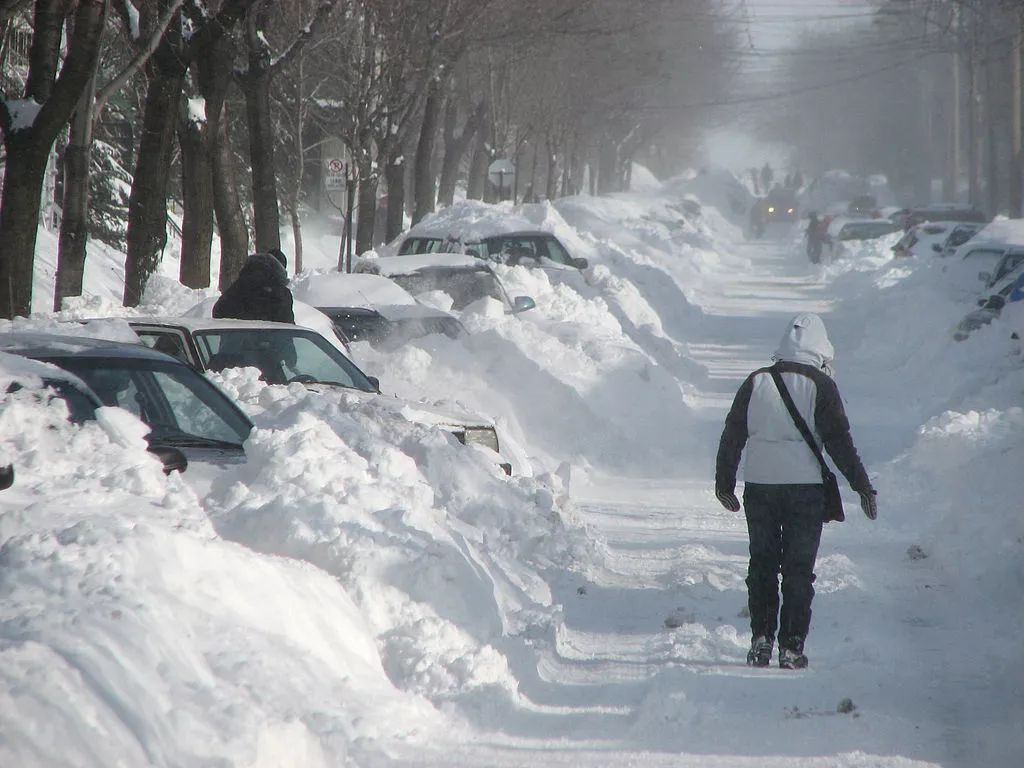 极寒警报拉响！暴雪袭击温哥华 -20℃+90km妖风之下 今夜将成噩梦！