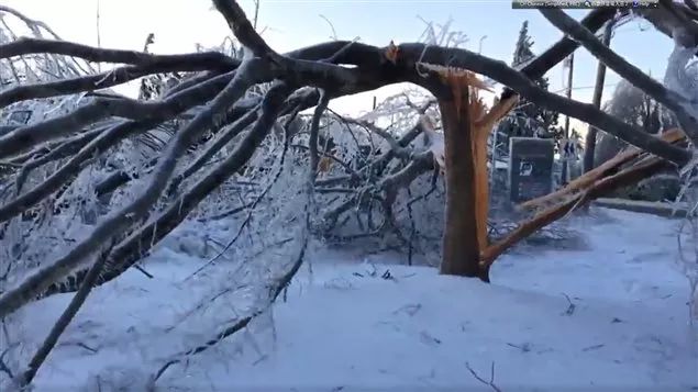 极寒警报拉响！暴雪袭击温哥华 -20℃+90km妖风之下 今夜将成噩梦！