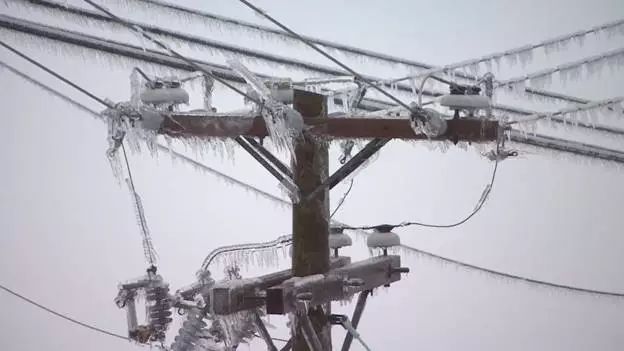 极寒警报拉响！暴雪袭击温哥华 -20℃+90km妖风之下 今夜将成噩梦！