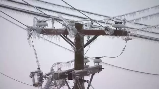 极寒警报拉响！暴雪袭击温哥华 -20℃+90km妖风之下 今夜将成噩梦！