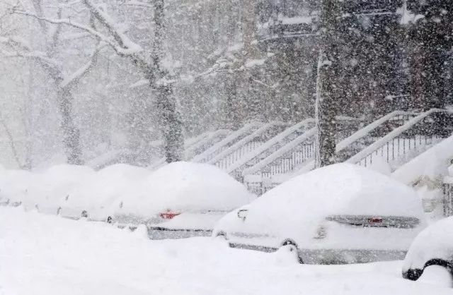 极寒警报拉响！暴雪袭击温哥华 -20℃+90km妖风之下 今夜将成噩梦！