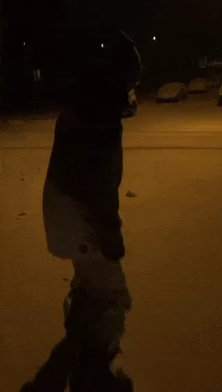史上最强雪暴席卷大温! 全城都瘫痪了 温村村民们却玩疯了 今晚还要下25cm!