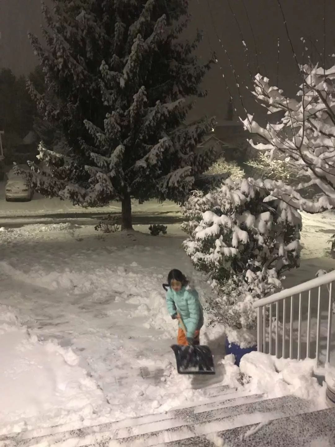 史上最强雪暴席卷大温! 全城都瘫痪了 温村村民们却玩疯了 今晚还要下25cm!