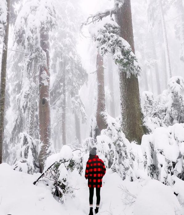 史上最强雪暴席卷大温! 全城都瘫痪了 温村村民们却玩疯了 今晚还要下25cm!