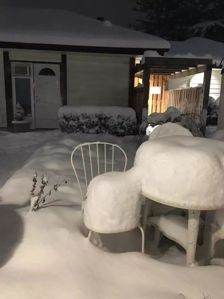 史上最强雪暴席卷大温! 全城都瘫痪了 温村村民们却玩疯了 今晚还要下25cm!