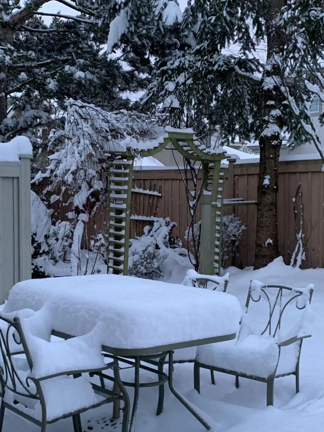 史上最强雪暴席卷大温! 全城都瘫痪了 温村村民们却玩疯了 今晚还要下25cm!