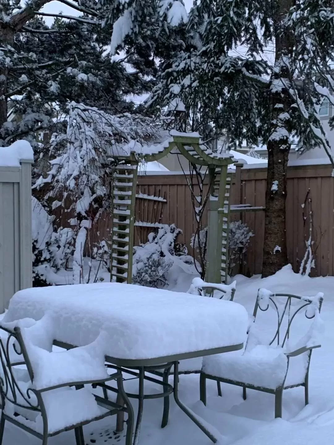 史上最强雪暴席卷大温! 全城都瘫痪了 温村村民们却玩疯了 今晚还要下25cm!