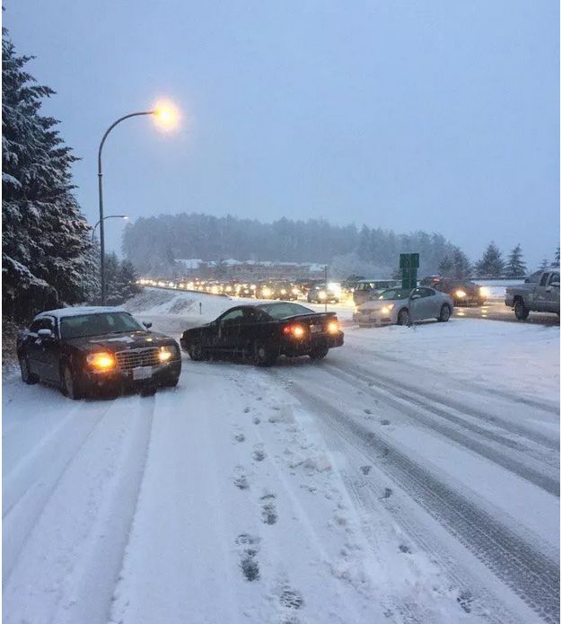 史上最强雪暴席卷大温! 全城都瘫痪了 温村村民们却玩疯了 今晚还要下25cm!