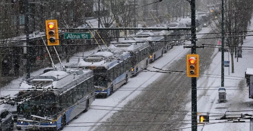 史上最强雪暴席卷大温! 全城都瘫痪了 温村村民们却玩疯了 今晚还要下25cm!