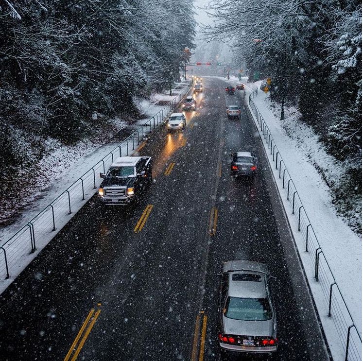 史上最强雪暴席卷大温! 全城都瘫痪了 温村村民们却玩疯了 今晚还要下25cm!