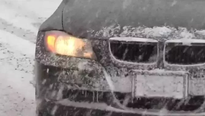 挺住! 温哥华25cm暴雪今晚最后一击! 可爱的加拿大人 已彻底进入撒欢模式