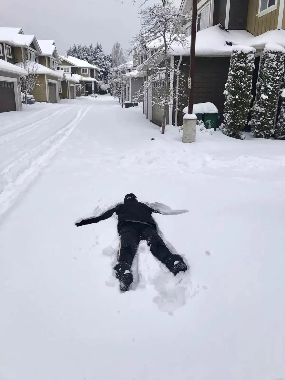 挺住! 温哥华25cm暴雪今晚最后一击! 可爱的加拿大人 已彻底进入撒欢模式