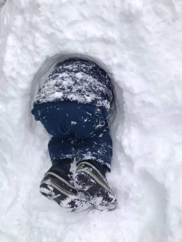 挺住! 温哥华25cm暴雪今晚最后一击! 可爱的加拿大人 已彻底进入撒欢模式