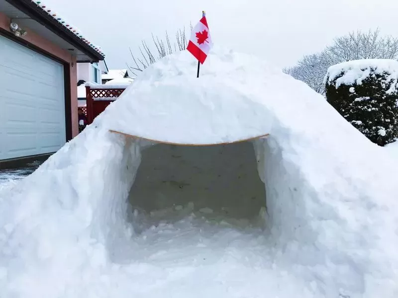 挺住! 温哥华25cm暴雪今晚最后一击! 可爱的加拿大人 已彻底进入撒欢模式