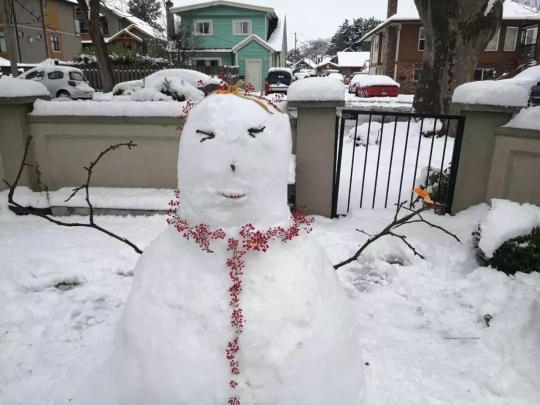 挺住! 温哥华25cm暴雪今晚最后一击! 可爱的加拿大人 已彻底进入撒欢模式