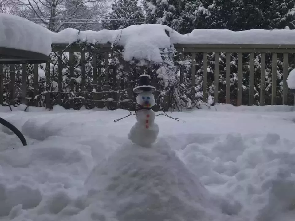 挺住! 温哥华25cm暴雪今晚最后一击! 可爱的加拿大人 已彻底进入撒欢模式
