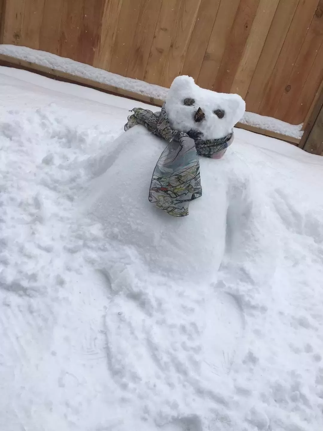 挺住! 温哥华25cm暴雪今晚最后一击! 可爱的加拿大人 已彻底进入撒欢模式