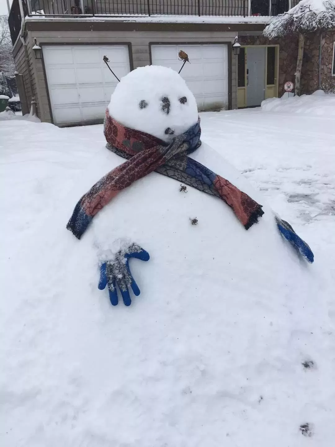 挺住! 温哥华25cm暴雪今晚最后一击! 可爱的加拿大人 已彻底进入撒欢模式