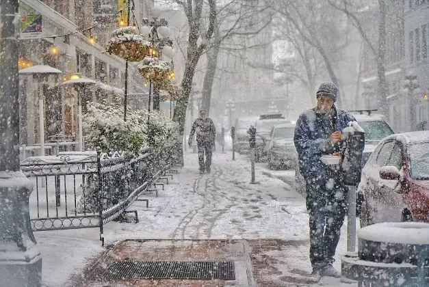 挺住! 温哥华25cm暴雪今晚最后一击! 可爱的加拿大人 已彻底进入撒欢模式
