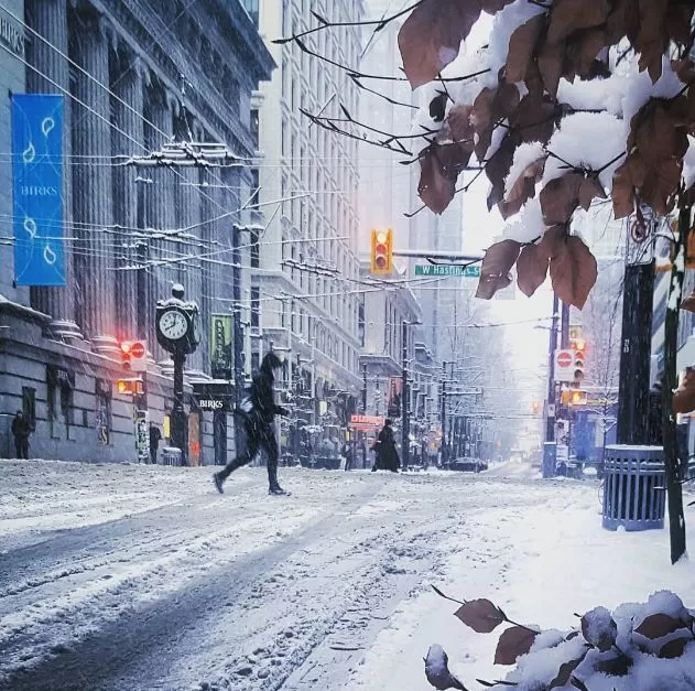 挺住! 温哥华25cm暴雪今晚最后一击! 可爱的加拿大人 已彻底进入撒欢模式