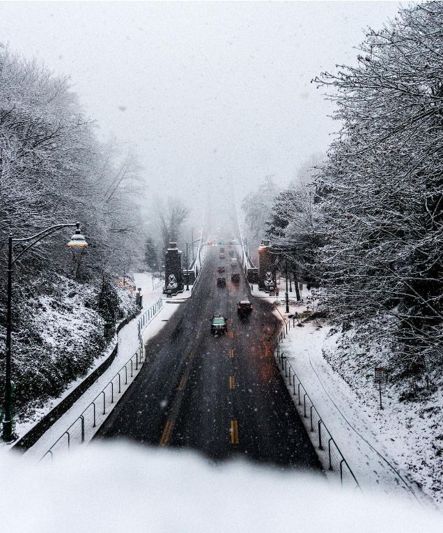 又来! 雪暴+冰雨今晚抵达温哥华! 加拿大人已彻底放弃抵抗 集体玩疯...