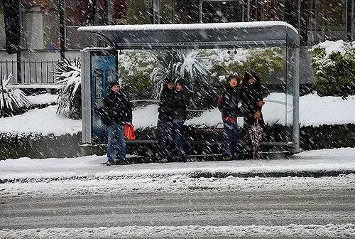 警报! 10cm降雪来袭 未来一周4天下雪! 暴雪中 这些温哥华人却温暖了冬夜