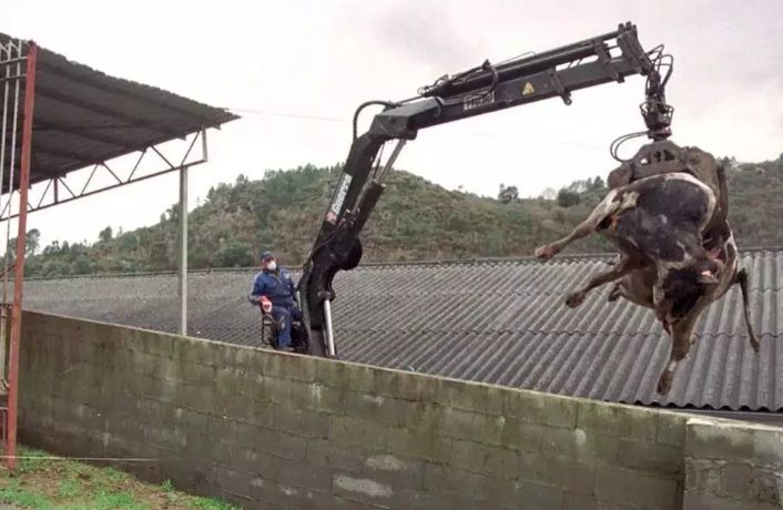 突发! 加拿大美国爆发丧尸病毒! 感染后大脑啃光 必死无疑! BC省危在旦夕