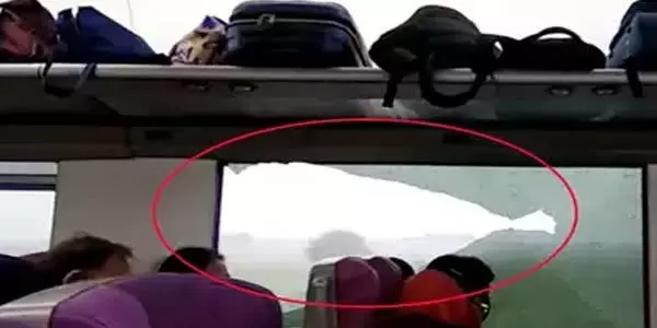 印度高铁又出事了，一路上撞了摩托又撞牛