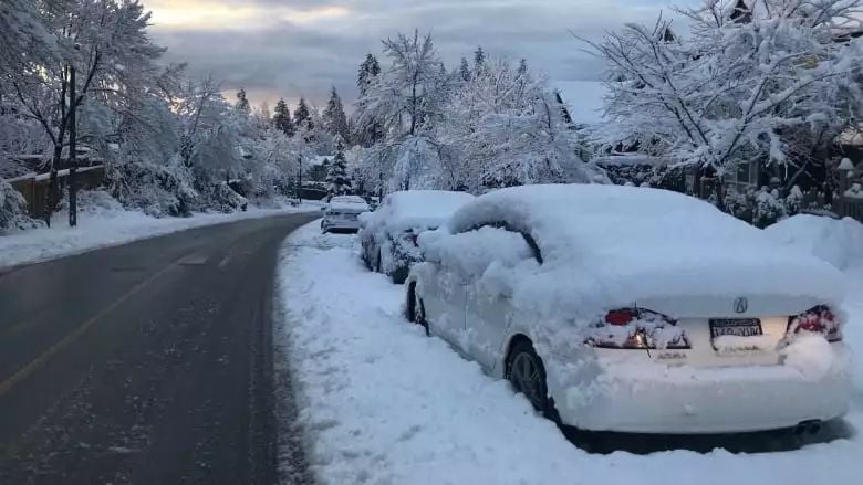 温哥华, 你对春天是不是有什么误会? 15cm暴雪砸城 张柏芝都忍不住了