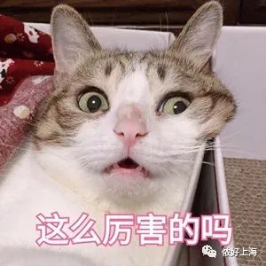 上海90后男美甲师年入36万！有人每月从国外回来找他做美甲！