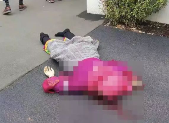 新西兰爆发恐袭! 97人死伤 枪手血洗全城 直播屠杀! 竟是致敬加拿大恐怖分子!